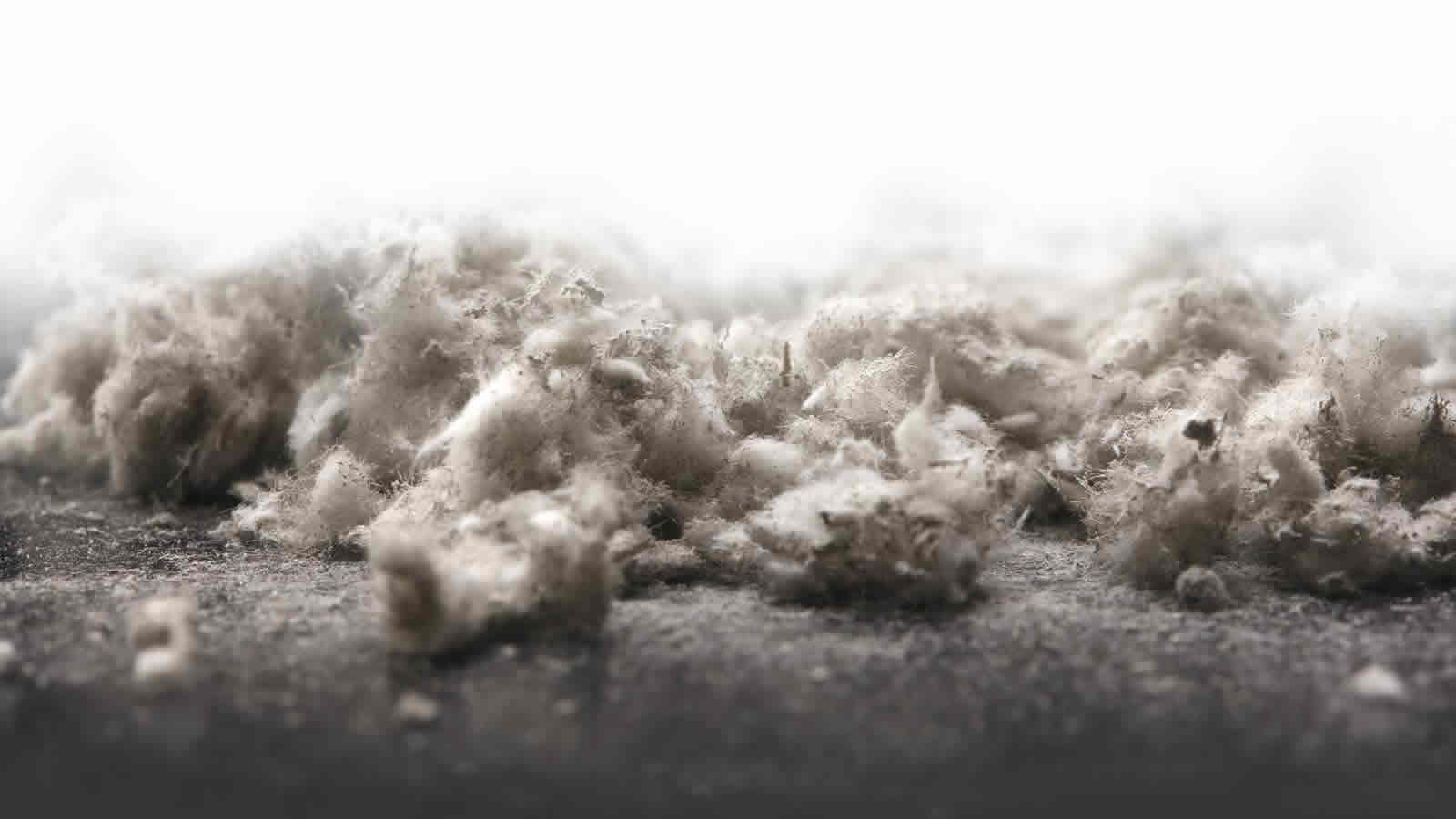 Expert Domestic & Commercial Asbestos Removal North West